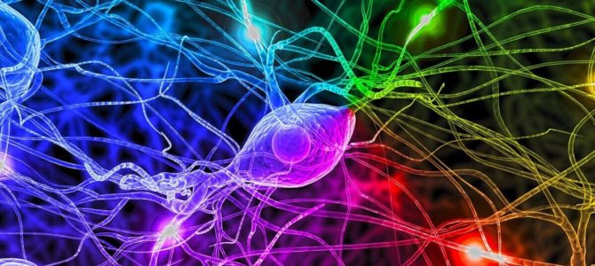 Вебинар о строении синапса и роли нейромедиаторов